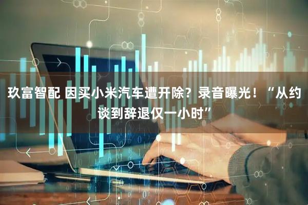 玖富智配 因买小米汽车遭开除？录音曝光！“从约谈到辞退仅一小时”