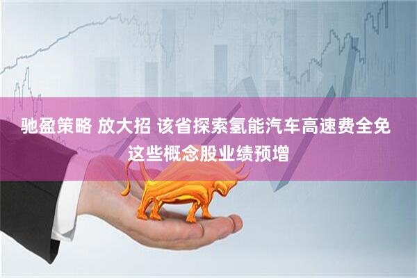 驰盈策略 放大招 该省探索氢能汽车高速费全免 这些概念股业绩预增