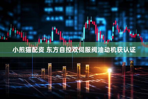 小煎猫配资 东方自控双伺服阀油动机获认证