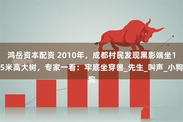 鸿岳资本配资 2010年，成都村民发现黑影端坐15米高大树，专家一看：牢底坐穿兽_先生_叫声_小狗