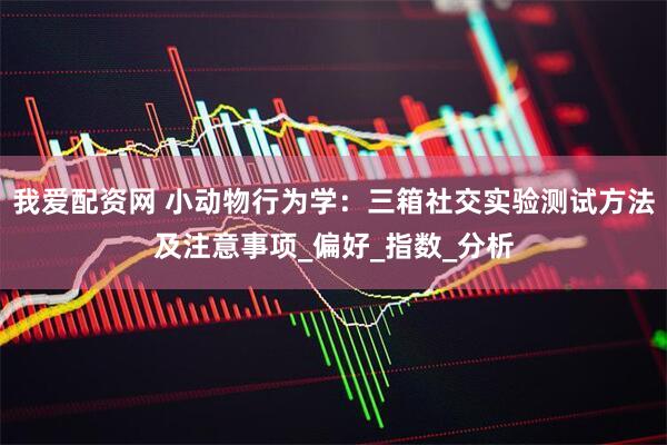 我爱配资网 小动物行为学：三箱社交实验测试方法及注意事项_偏好_指数_分析
