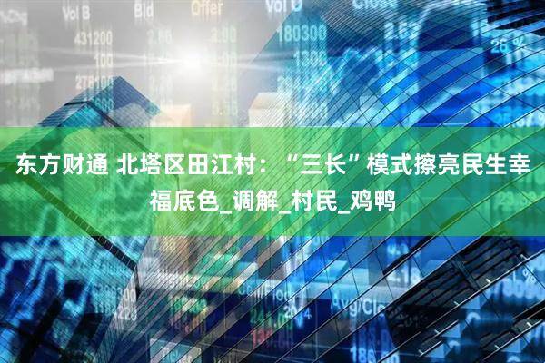 东方财通 北塔区田江村：“三长”模式擦亮民生幸福底色_调解_村民_鸡鸭