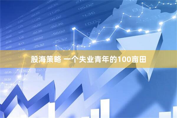股海策略 一个失业青年的100亩田
