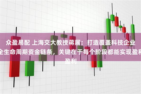 众盈易配 上海交大教授蒋展：打造覆盖科技企业全生命周期资金链条，关键在于每个阶段都能实现盈利